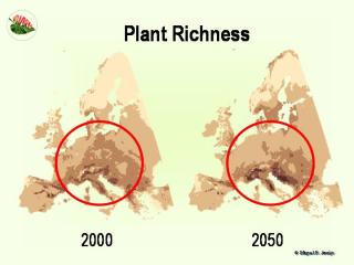 Die europäische Flora wird sich in den nächsten Jahren durch den Klimawandel deutlich verändern. 
Grafik: Miguel B. Araújo 
