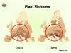 Die europäische Flora wird sich in den nächsten Jahren durch den Klimawandel deutlich verändern. 
Grafik: Miguel B. Araújo 
