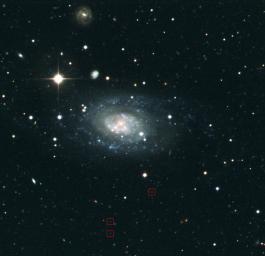 Dieser kleine Bildausschnitt zeigt die hellste Galaxie in einem der beobachteten Felder. Die Spiralgalaxie enthält Milliarden von Sternen und ist ca. 60 Millionen Lichtjahre entfernt, kosmologisch betrachtet ein Katzensprung. Allerdings wurde das Licht zu einer Zeit ausgesendet, als auf der Erde gerade die Dinosaurier ausgestorben waren. Mit roten Quadraten markiert sind einige Galaxien (sog. Lyman-break galaxies), die extrem weit entfernt sind und hier nur als sehr schwache Lichtpunkte zu erkennen sind. Das Licht dieser Galaxien war mehr als 11 Milliarden Jahre unterwegs, bevor es auf den Chip der Kamera gefallen ist. Das entspricht mehr als 80% der Zeit seit dem Urknall.
(c) AIfA der Universität Bonn